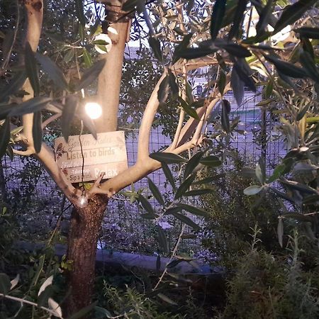 Casita Esperanza Lägenhet Copparo Exteriör bild